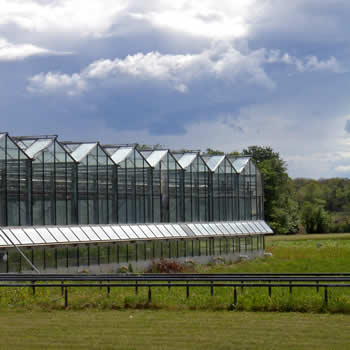 Built Environment  Green Building